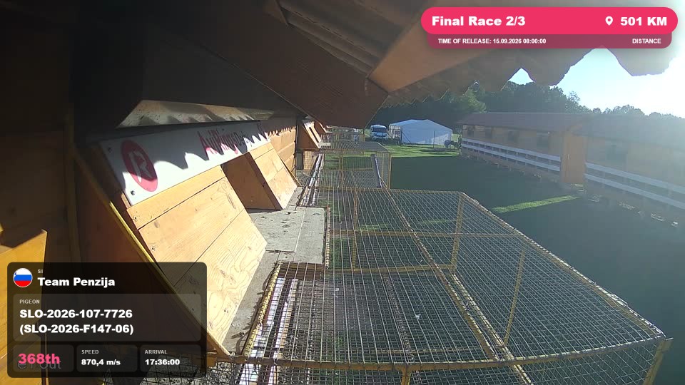 Pigeon Arrival Image For Race Final Race 2/3