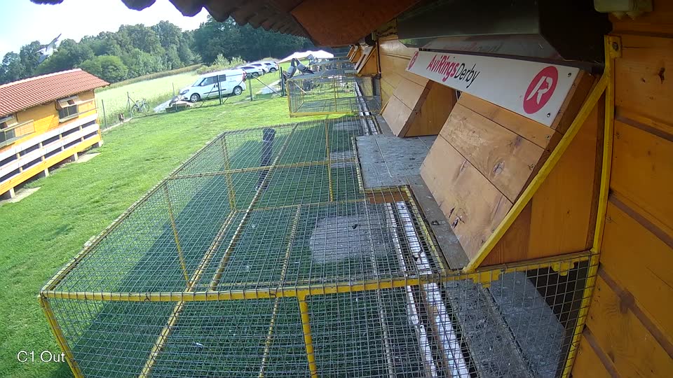 Pigeon Arrival Image For Race Final race 1
