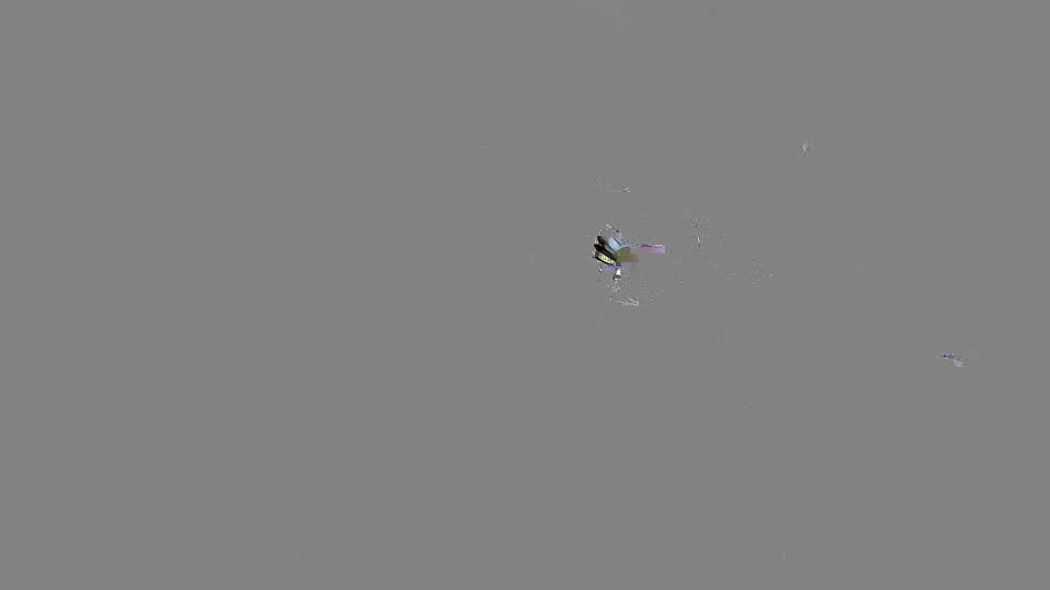Pigeon Arrival Image For Race Race 2
