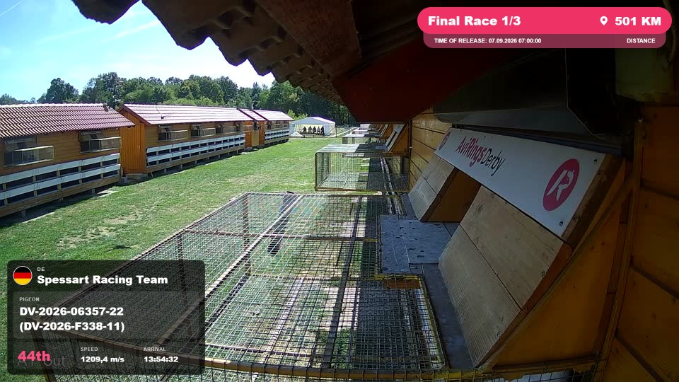 Pigeon Arrival Image For Race Final Race 1/3