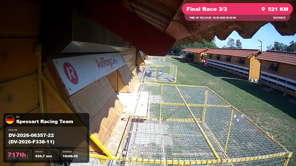 Pigeon Arrival Image For Race Final Race 3/3