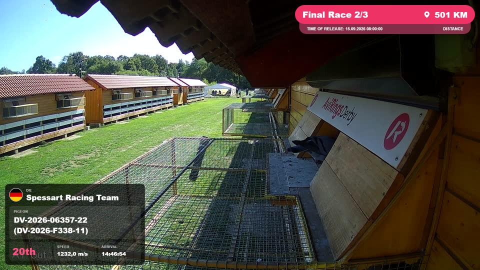 Pigeon Arrival Image For Race Final Race 2/3