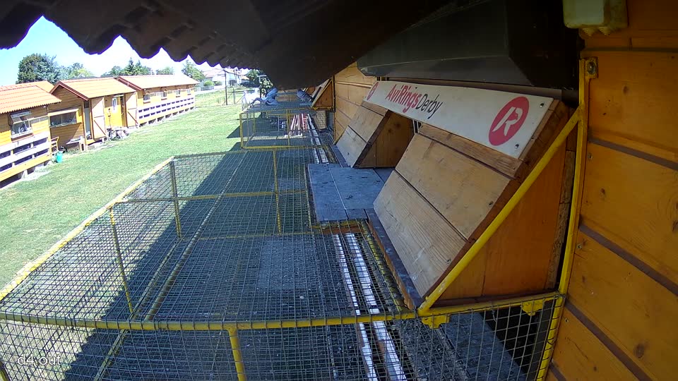 Pigeon Arrival Image For Race Race 3
