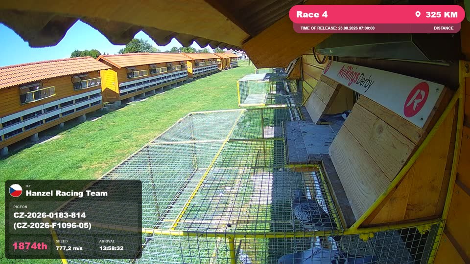 Pigeon Arrival Image For Race Race 4
