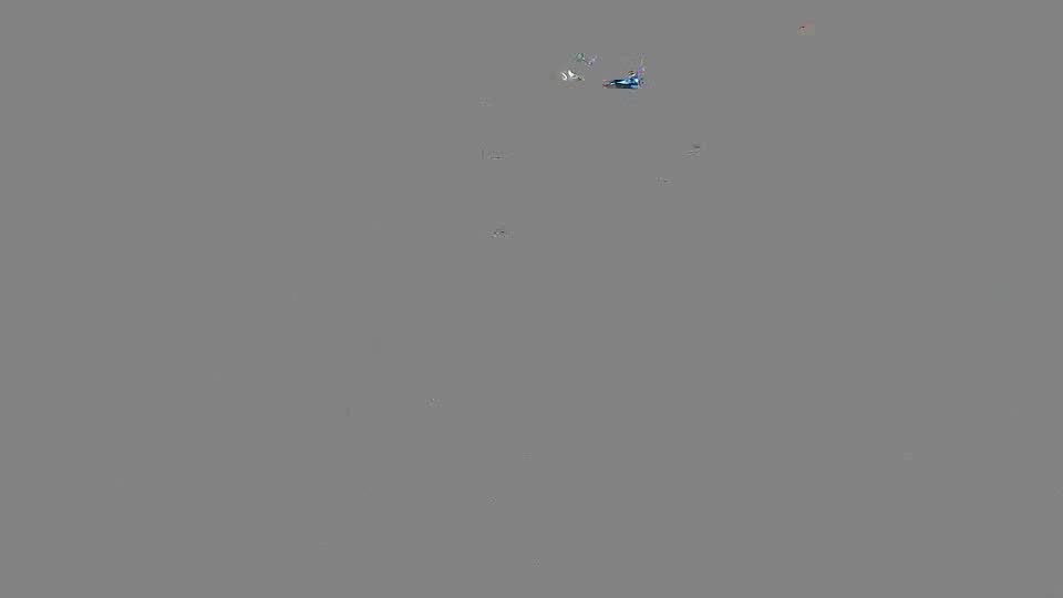 Pigeon Arrival Image For Race Race 2