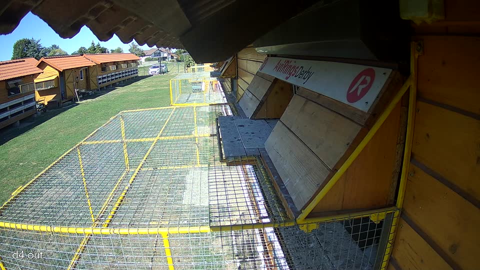 Pigeon Arrival Image For Race Final Race 1/3
