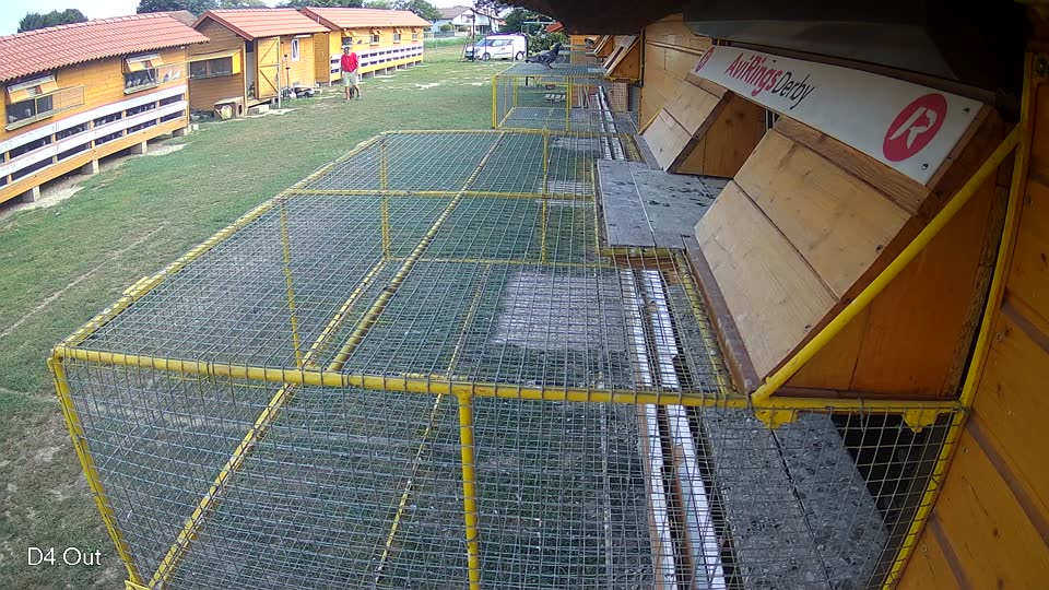 Pigeon Arrival Image For Race Race 4