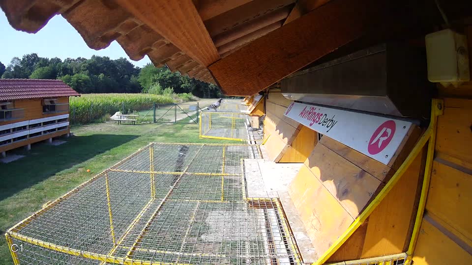Pigeon Arrival Image For Race Race 1