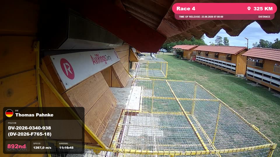 Pigeon Arrival Image For Race Race 4