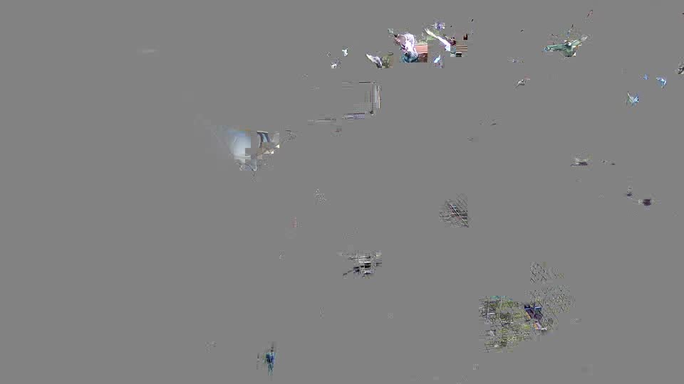 Pigeon Arrival Image For Race Race 2