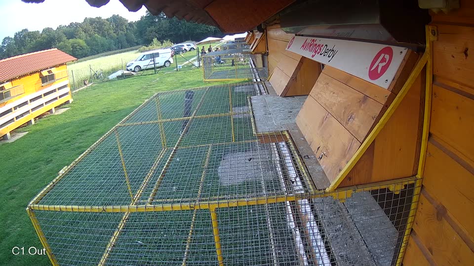 Pigeon Arrival Image For Race Final race 1