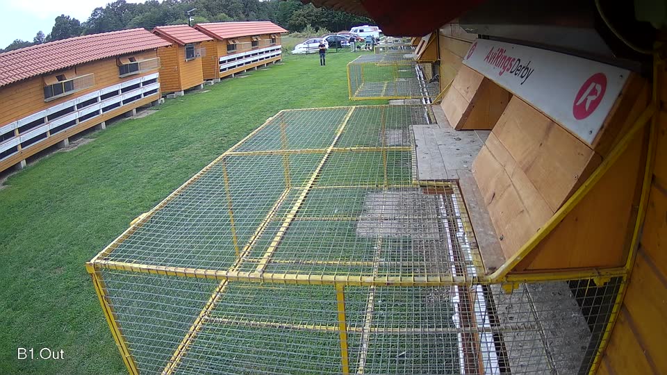 Pigeon Arrival Image For Race Final race 2