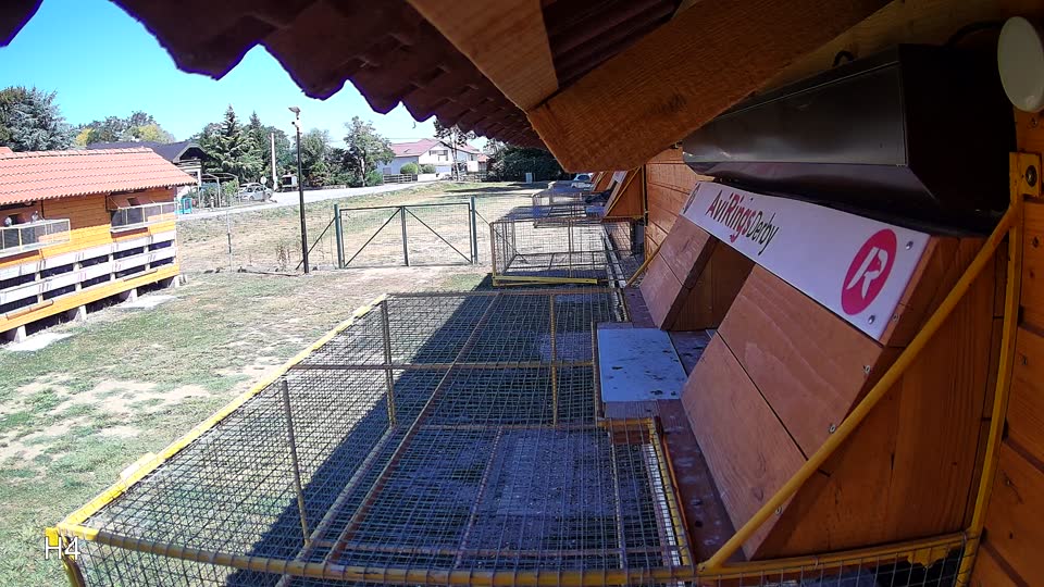 Pigeon Arrival Image For Race Race 3