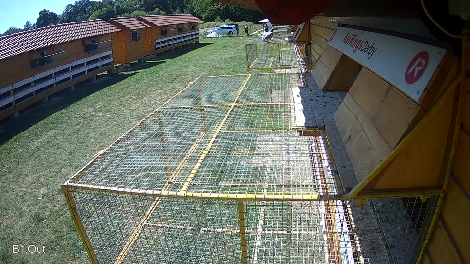 Pigeon Arrival Image For Race Race 5