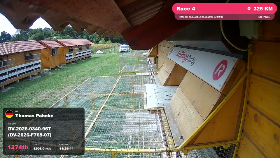 Pigeon Arrival Image For Race Race 4