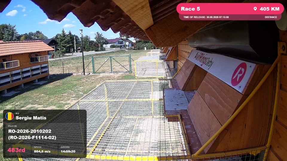 Pigeon Arrival Image For Race Race 5