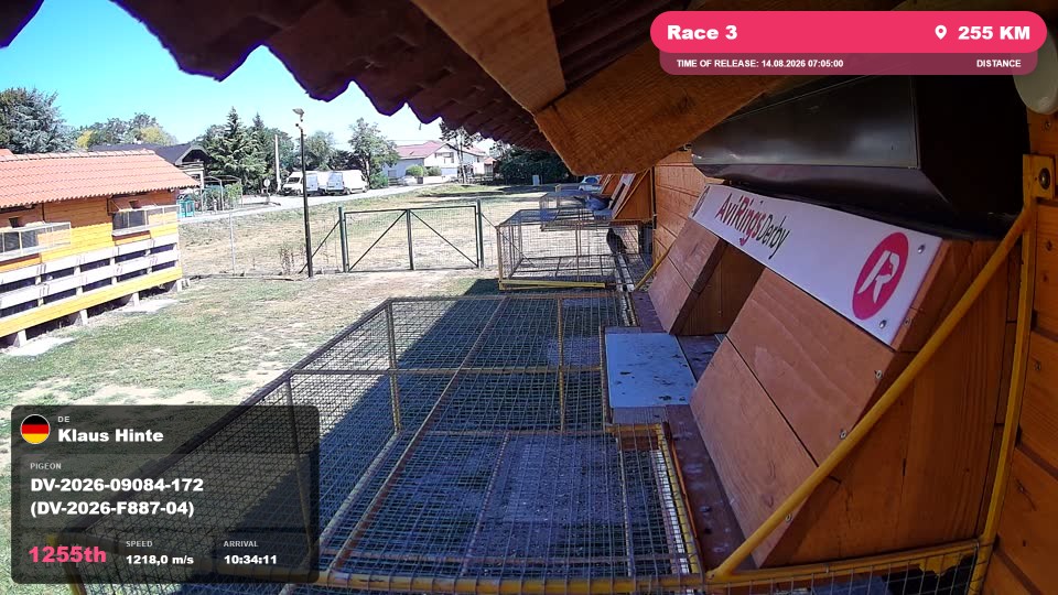 Pigeon Arrival Image For Race Race 3