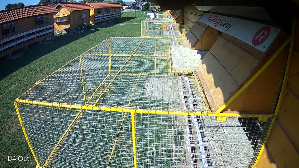 Pigeon Arrival Image For Race Race 6