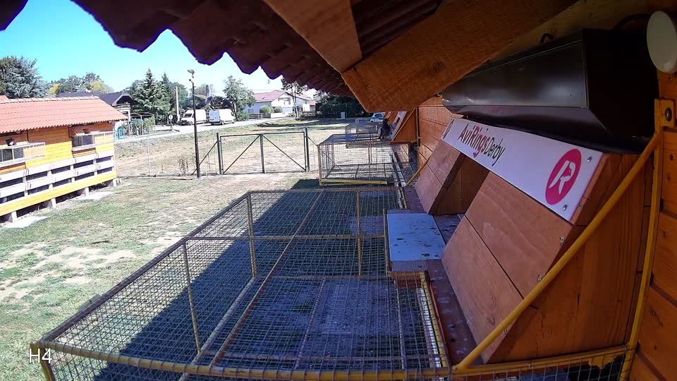 Pigeon Arrival Image For Race Race 3