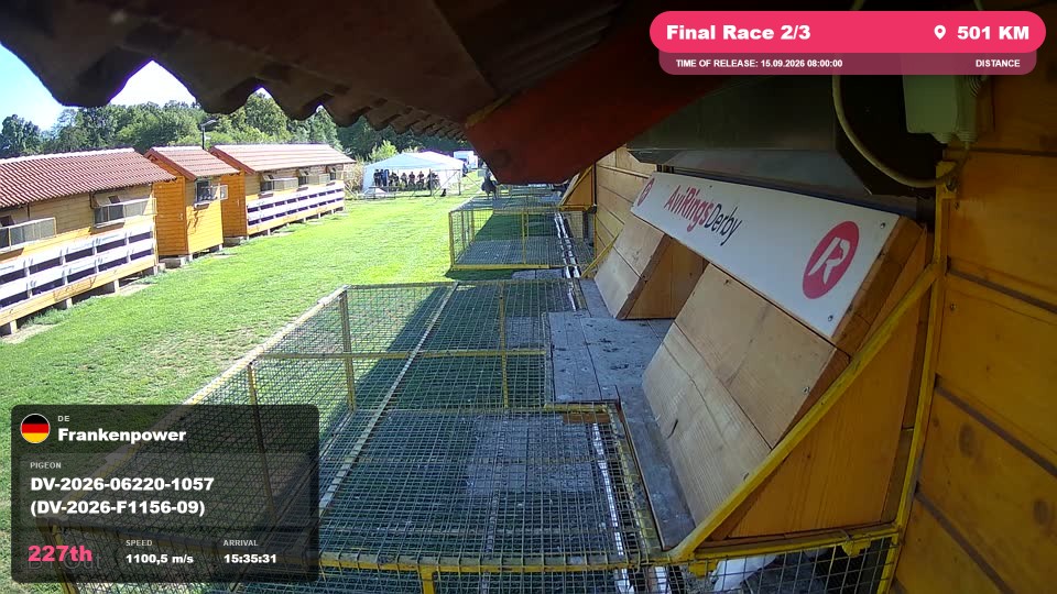 Pigeon Arrival Image For Race Final Race 2/3