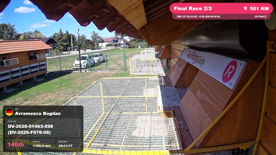 Pigeon Arrival Image For Race Final Race 2/3