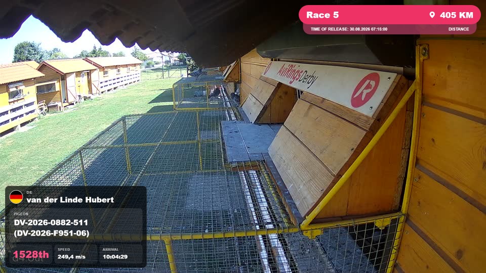 Pigeon Arrival Image For Race Race 5