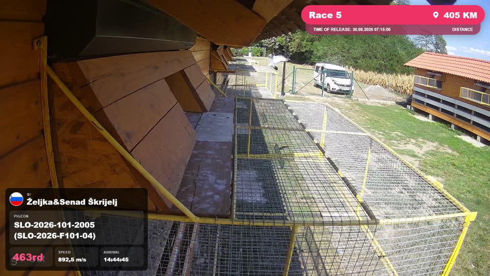 Pigeon Arrival Image For Race Race 5