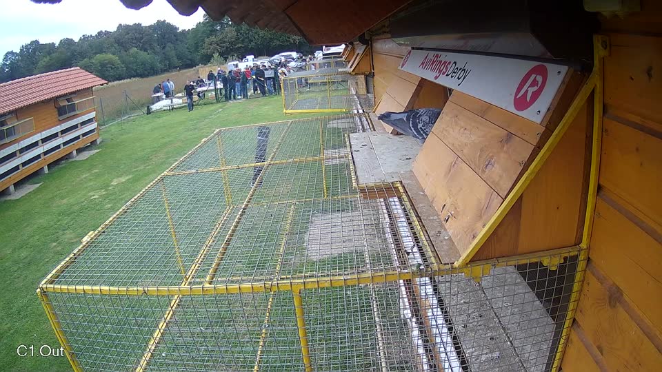 Pigeon Arrival Image For Race Final race 3