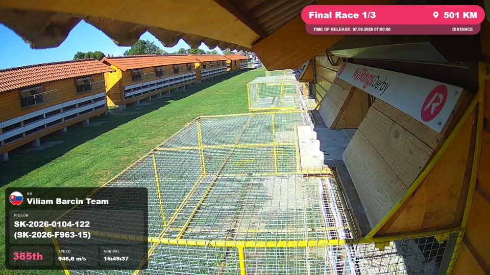 Pigeon Arrival Image For Race Final Race 1/3
