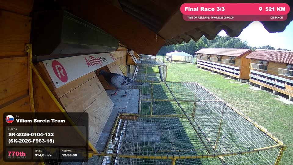 Pigeon Arrival Image For Race Final Race 3/3