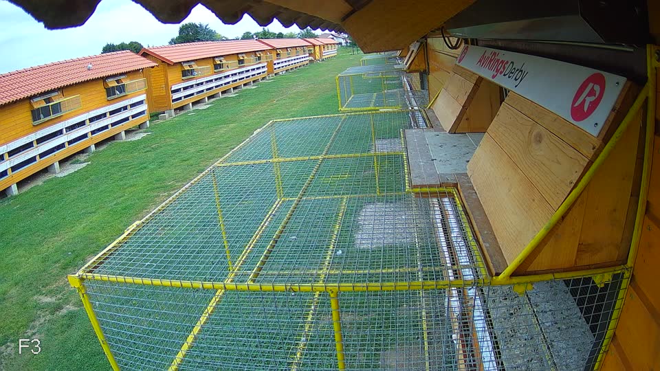Pigeon Arrival Image For Race Race 3
