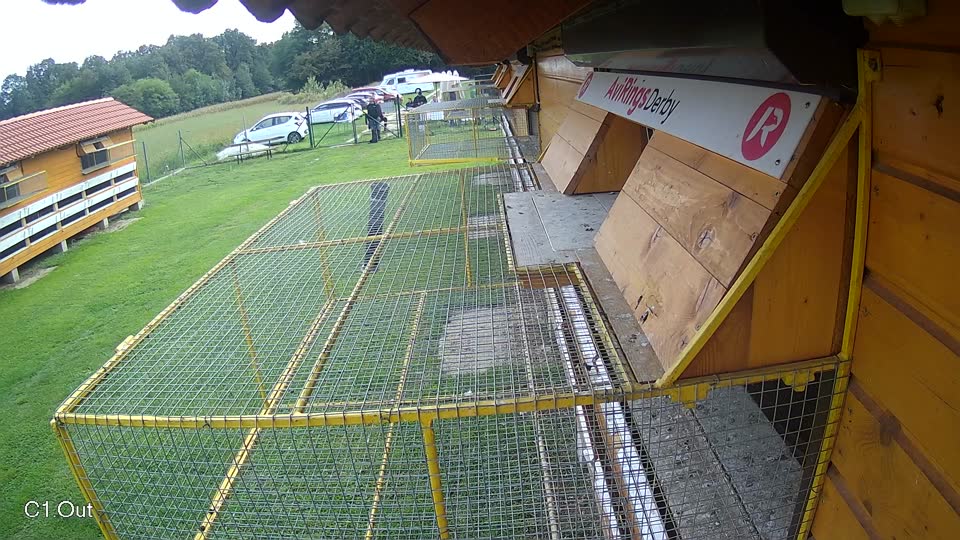 Pigeon Arrival Image For Race Final race 2