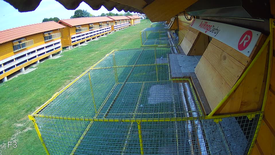 Pigeon Arrival Image For Race Race 3