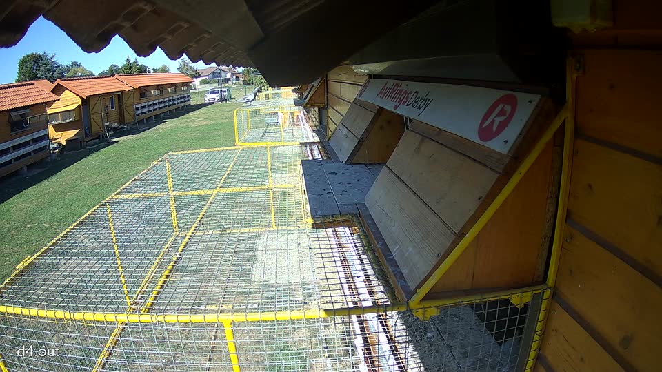 Pigeon Arrival Image For Race Final Race 1/3
