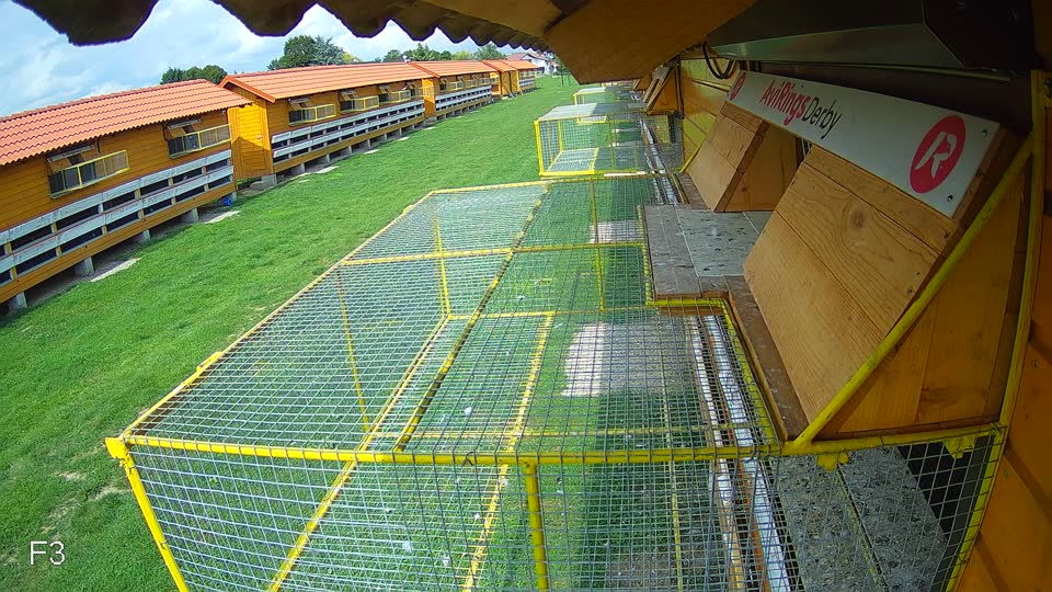 Pigeon Arrival Image For Race Race 6