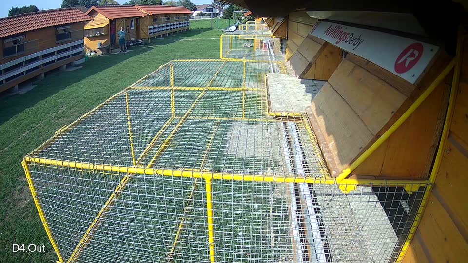 Pigeon Arrival Image For Race Final race 1