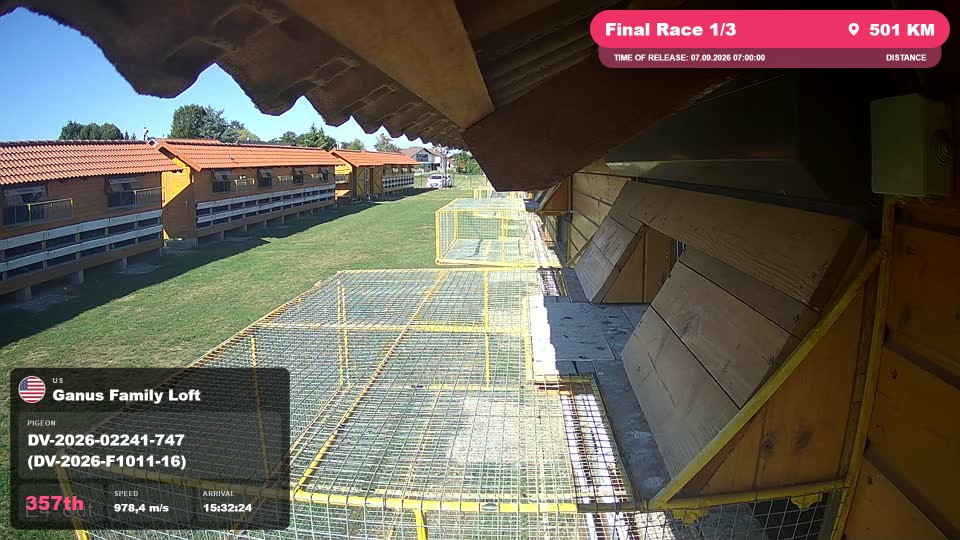 Pigeon Arrival Image For Race Final Race 1/3