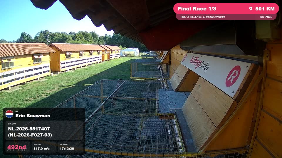 Pigeon Arrival Image For Race Final Race 1/3