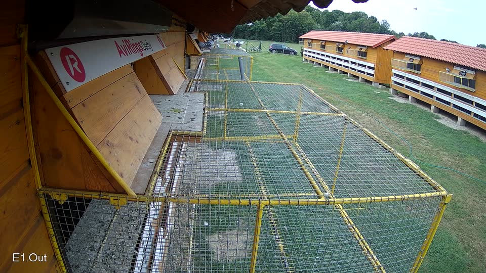 Pigeon Arrival Image For Race Race 3