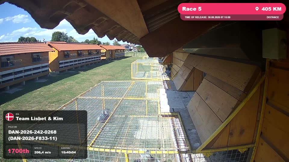 Pigeon Arrival Image For Race Race 5