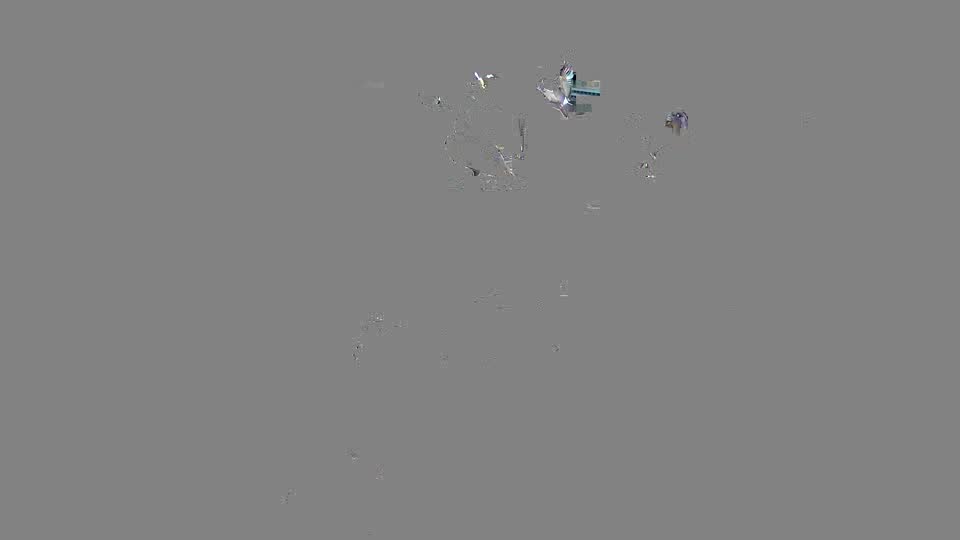 Pigeon Arrival Image For Race Race 2