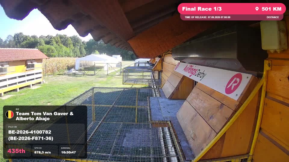 Pigeon Arrival Image For Race Final Race 1/3