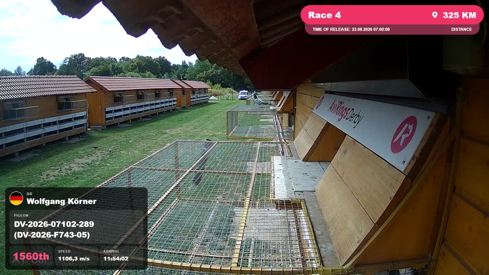 Pigeon Arrival Image For Race Race 4