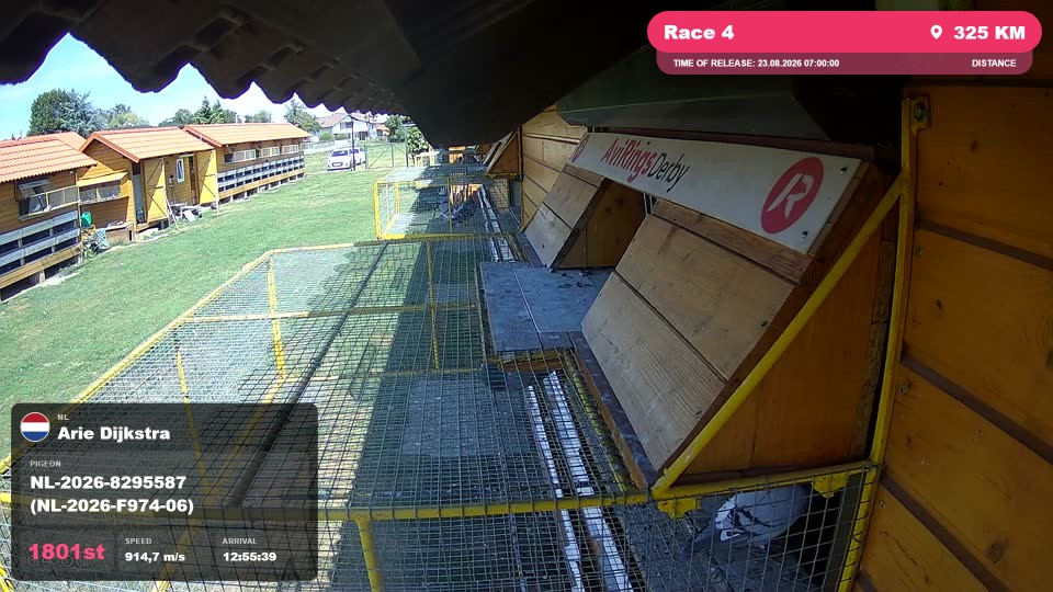 Pigeon Arrival Image For Race Race 4