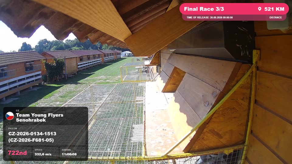 Pigeon Arrival Image For Race Final Race 3/3