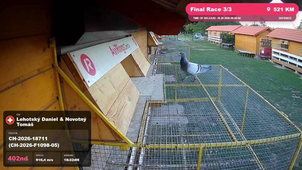 Pigeon Arrival Image For Race Final Race 3/3