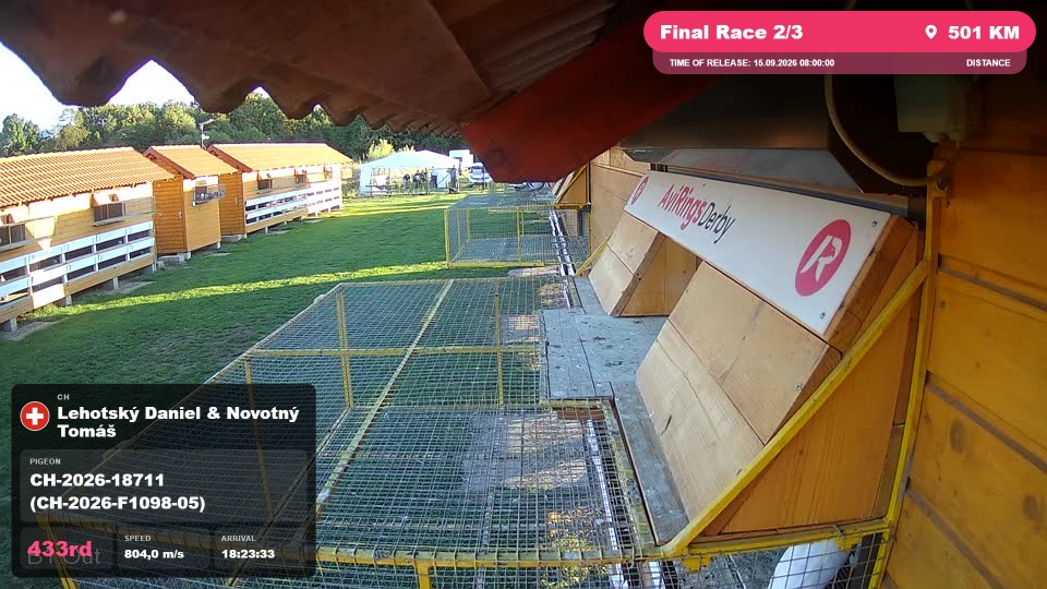 Pigeon Arrival Image For Race Final Race 2/3
