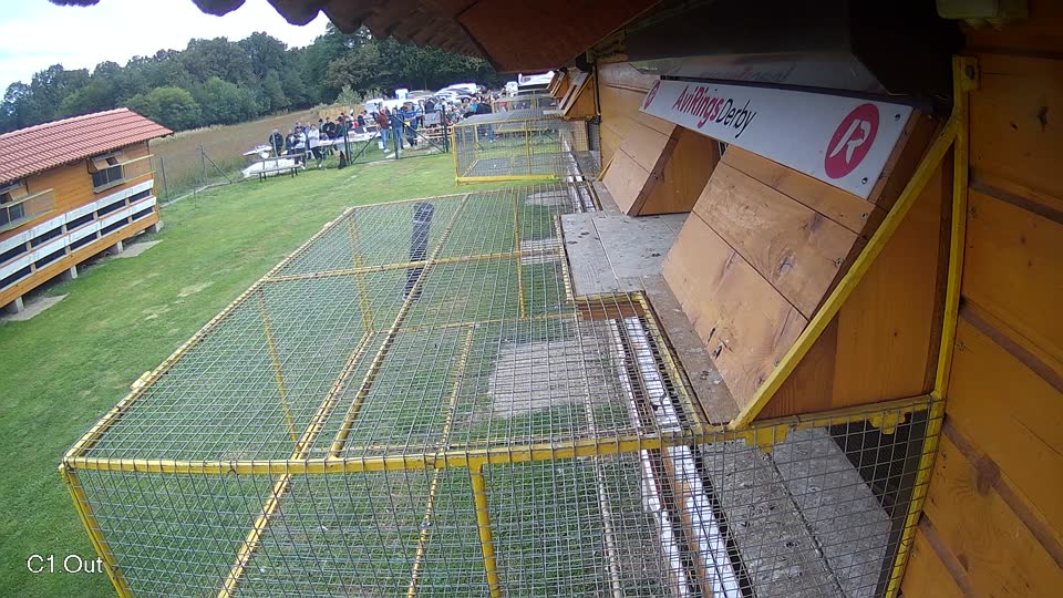 Pigeon Arrival Image For Race Final race 3