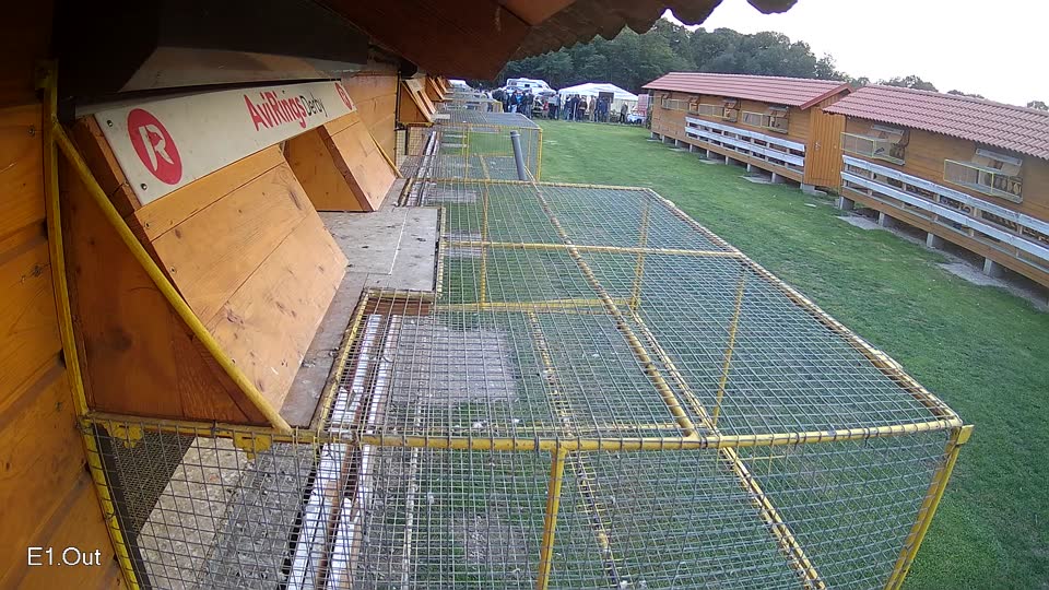Pigeon Arrival Image For Race Final race 3