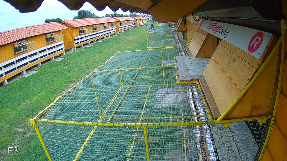 Pigeon Arrival Image For Race Race 3